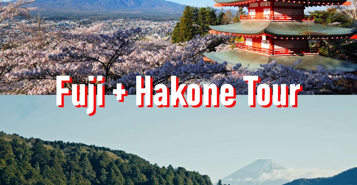 Tokyo to Mount Fuji and Hakone Private Full-day Tour - Highlights