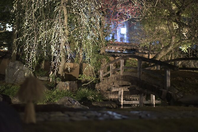 Tokyo Update - Online Tour on Travel Tips With Licensed Guide - What to Expect