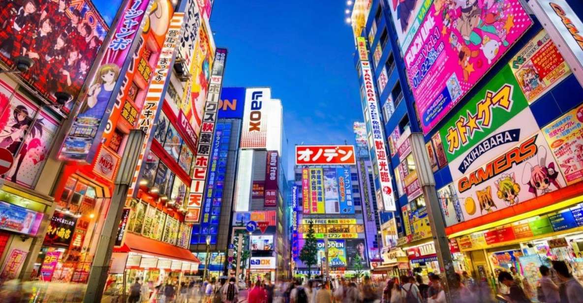 Tokyo: Winter Illuminations Private Tour With a Local - Review Summary