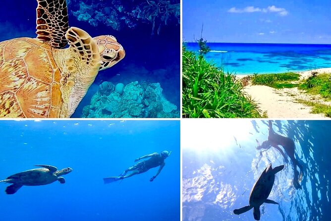 Tomori- Beach Blue Cave Snokering/ENGLISH PRIVATE - Additional Information