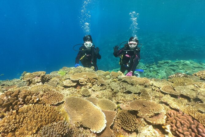 Trial Boat Dive 2 DIves at Minna or Sesoko, Okinawa - Cancellation Policy