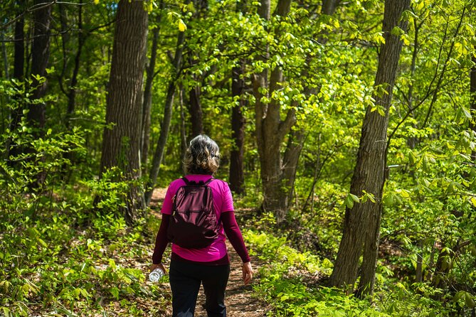 Usuzan Volcano Guided Hiking Private Tour - Inclusions and Amenities