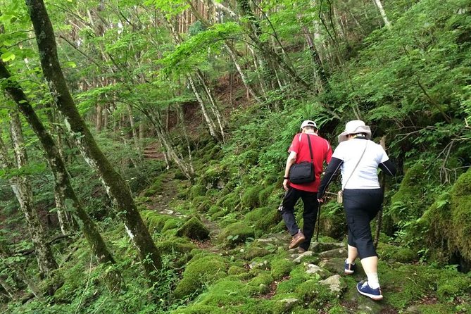 WE LOVE SHINRIN-YOKU Tour (1-Day) - Booking Details