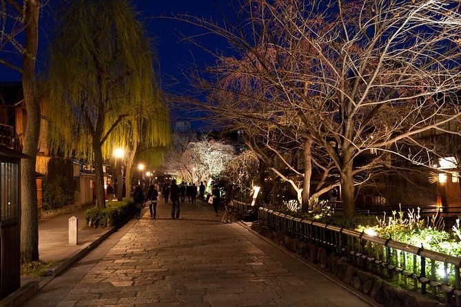 1 Day Private Kyoto Tour (Charter) - English Speaking Driver - Knowledgeable and Experienced Guides