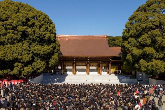 1-Day Private Tokyo Sightseeing Tour With Guide - Lunch and Refreshments