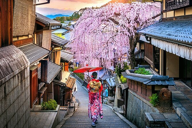 6 Days Japan Kanto, Kansai Deluxe Tour - Day 5: Nara Excursion