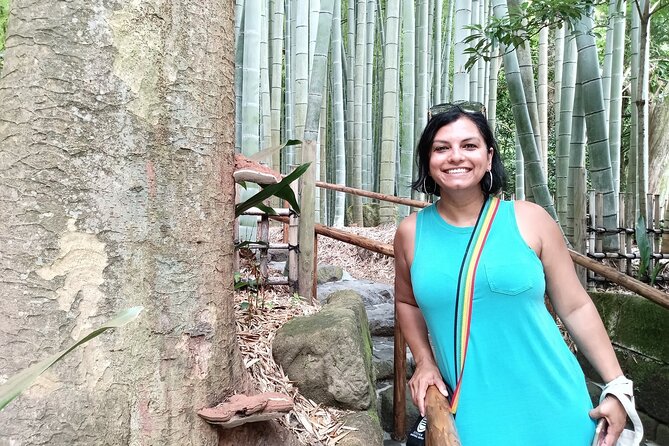 Barrier Free Transportation in Kamakura, No Guide (Tokyo Dep.) - Additional Information