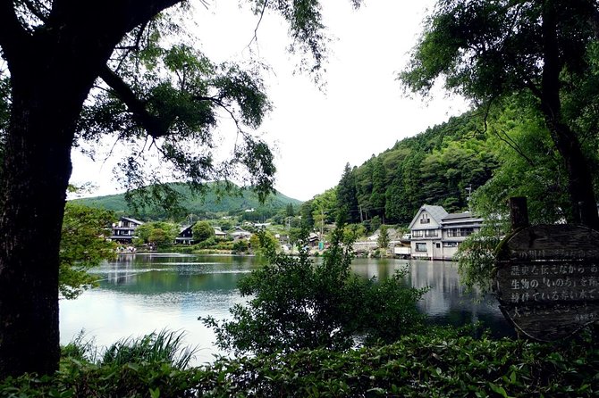 Beppu & Yufuin Onsen One Day Private Tour - Pricing and Terms