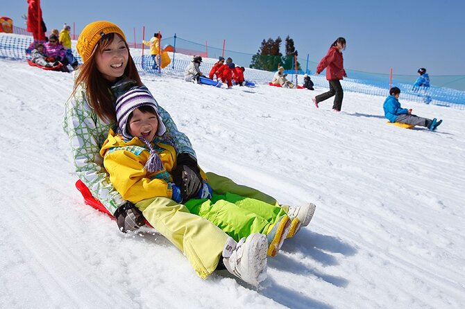 BIWAKO VALLEY Custom Tour With Private Car and Driver (Max 9 Pax) - Safety Guidelines