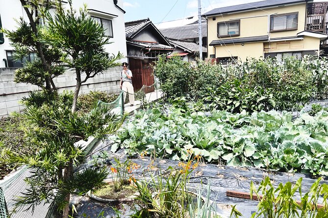 Cook Michelin Grade Tempura & Miso Soup - Miso Soup: A Traditional Japanese Dish