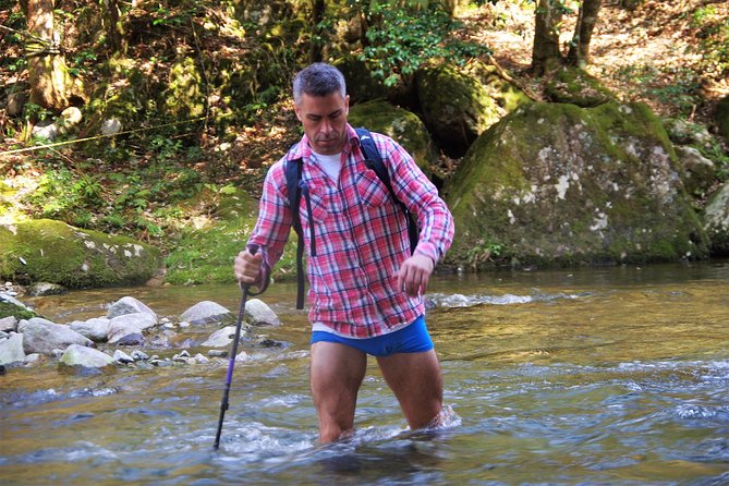 Cultivate Organic WASABI - Culinary Uses of Wasabi