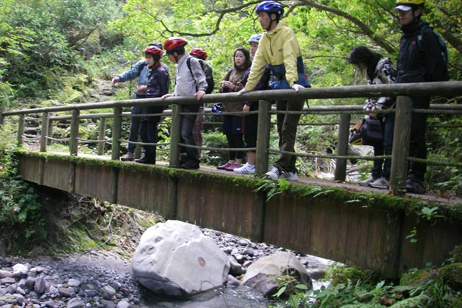 Downhill Biking - Training and Preparation for Downhill Biking