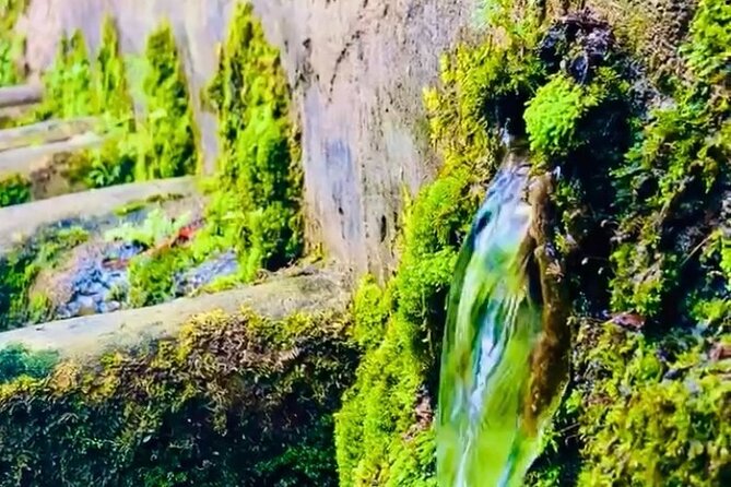 E-Bike Nature Tour in Shuri - Nature Sightings