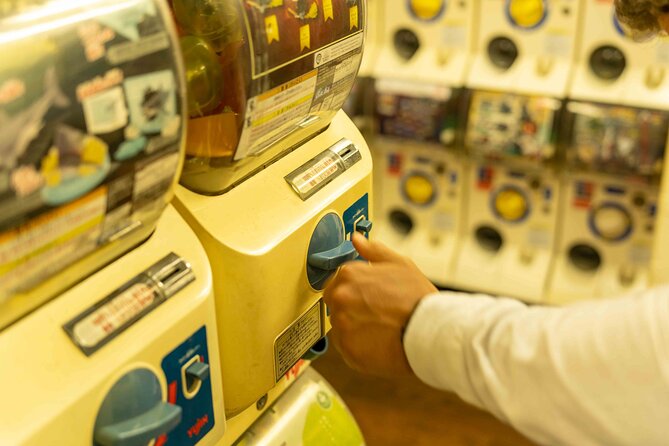 Exclusive Experience: Tailored Anime & Culture Tour in Akihabara - Terms and Conditions