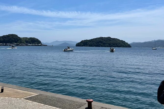 Explore the Maritime Splendors of Kyoto: A Comprehensive Sea Tour - Exploring the Vibrant Nishiki Market