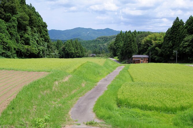 Full-Day Bicycle Tour on the Noto Peninsula - Local Culture and Cuisine