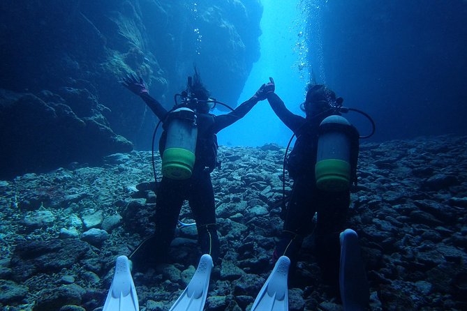 Full Day "Experience Diving" Trip at Kerama Islands - The Sum Up