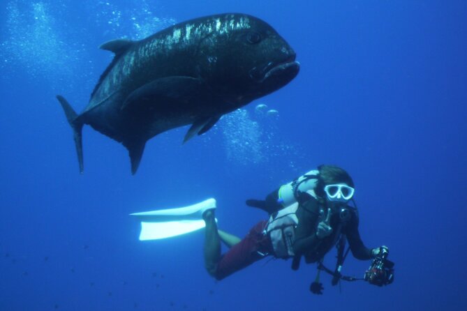 Full Day Guided Boat 2diving in Kerama Islands（License Required） - Pricing and Copyright