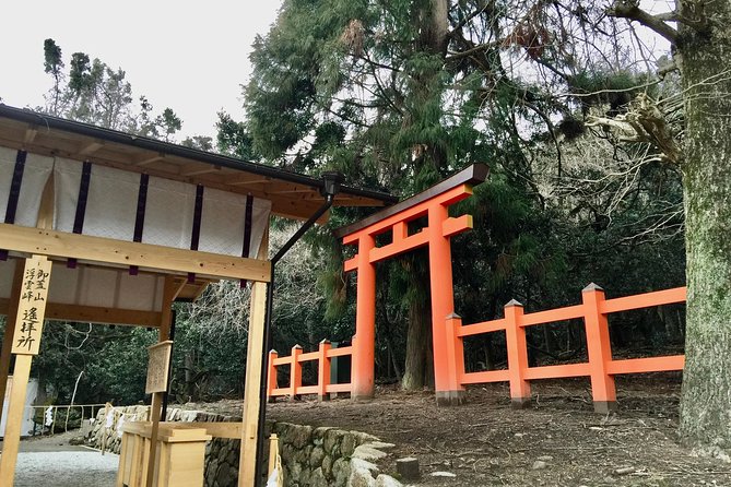 Full-Day Private Guided Tour to Nara Temples - Booking and Reservation