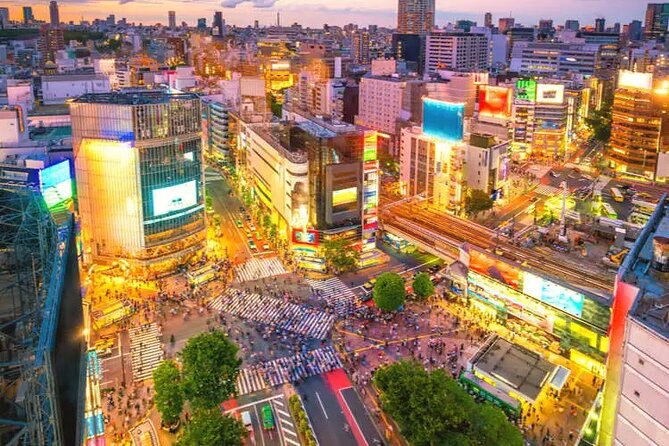 Full Day Private Luxury Tokyo Tour - Additional Inclusions