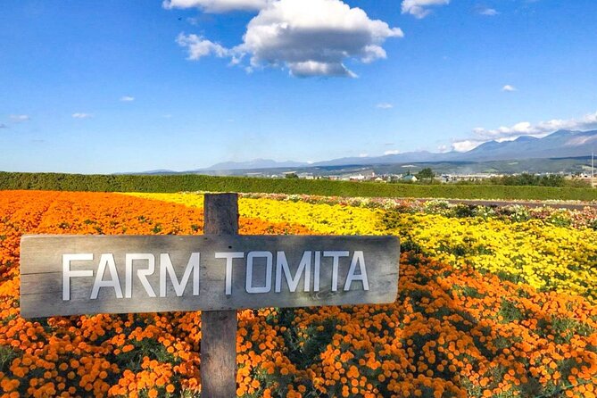 Furano & Biei 4 Hour Tour: English Speaking Driver Only, No Guide - Customizable Itinerary Options