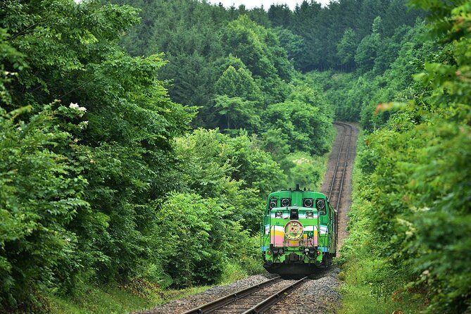 Furano & Biei 6 Hour Tour: English Speaking Driver Only, No Guide - Reviews and Ratings