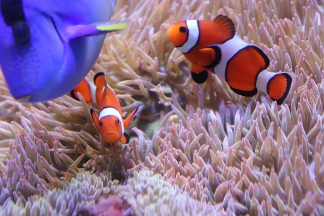 Hakone for Children to Enjoy! Japanese Crafts Experience From Tokyo - Duration and Schedule