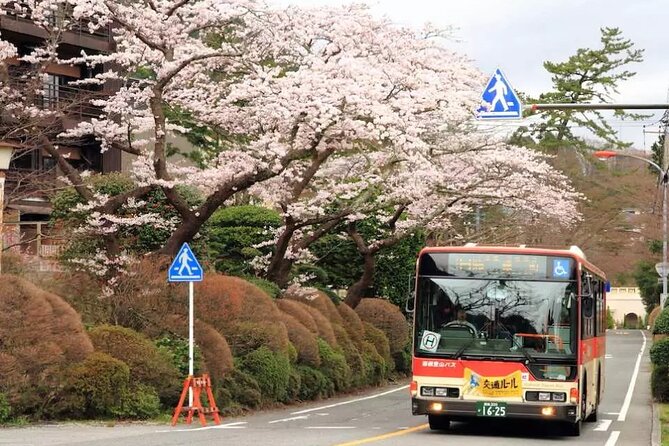 Hakone FreePass, 2-3 Days Japan - Understanding Cancellation Guidelines