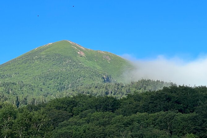 Half-Day Private Guided Japanese Hot Spring Experience - Common questions