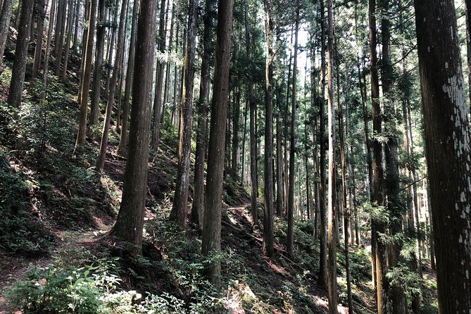 Historic and Natural Guided Hike in Yoshino - Miscellaneous Information