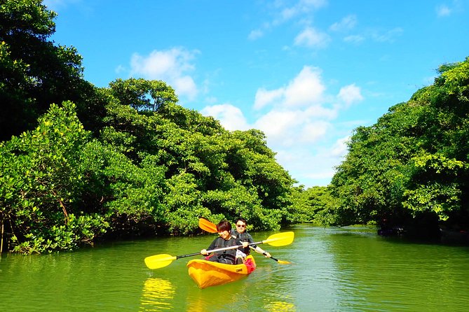 [Ishigaki]Mangrove SUP/Canoe Blue Cave Snorkeling - Traveler Reviews and Ratings
