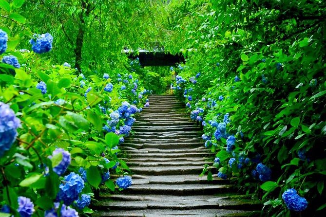 Kamakura Private Custom Tour - Booking and Cancellation Policy