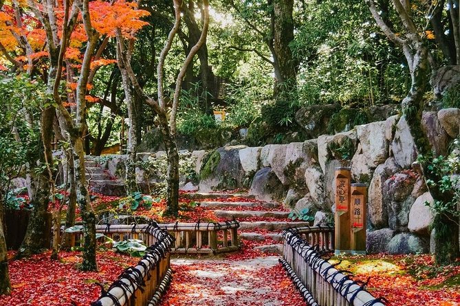 Kobe Custom Full Day Tour - Customization and Planning