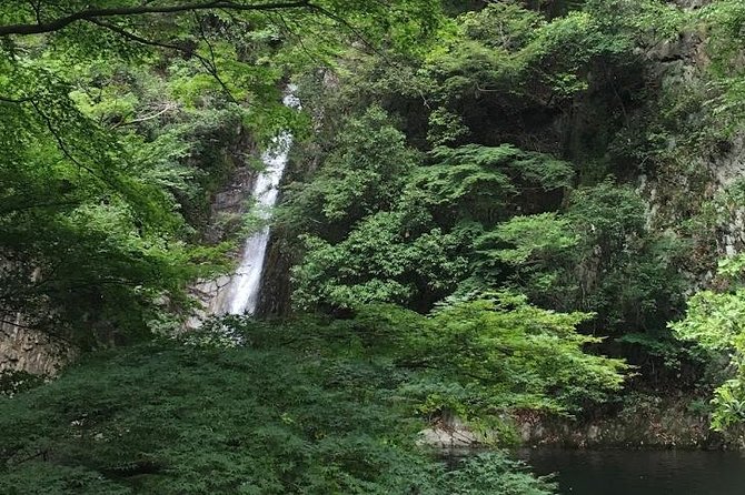 Kobe Private Tour From Osaka (Shore Excursion Available From Osaka or Kobe Port) - Price and Terms