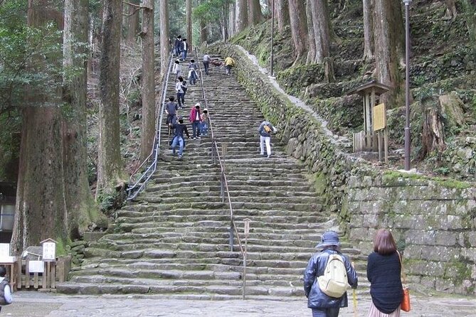 Kumano Kodo Half Day Daimonzaka and Nachi Taisha Tour - Pricing Options and Lowest Price Guarantee