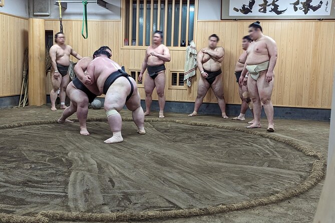 Morning Sumo Practice Viewing in Tokyo - Additional Information