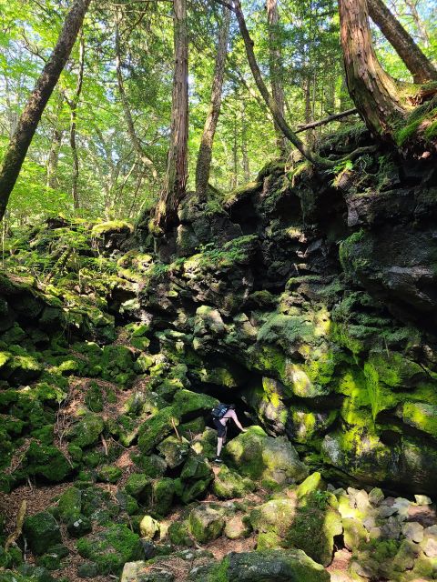 Mount Fuji & Kawaguchiko: Private Guided Customizable Tour - Tour Description