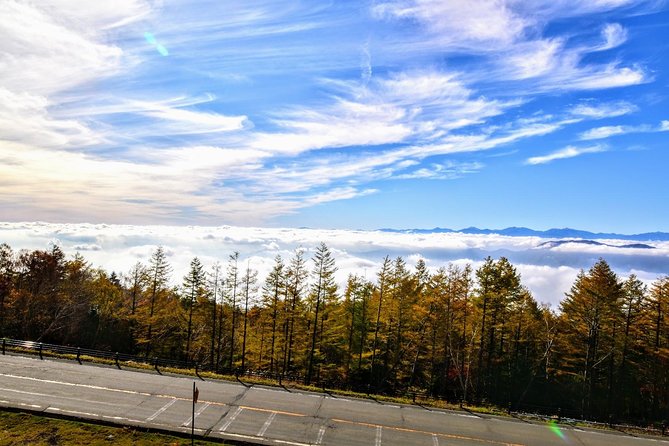 Mt Fuji Day Trip From Tokyo by Car With Photographer Guide - Reviews