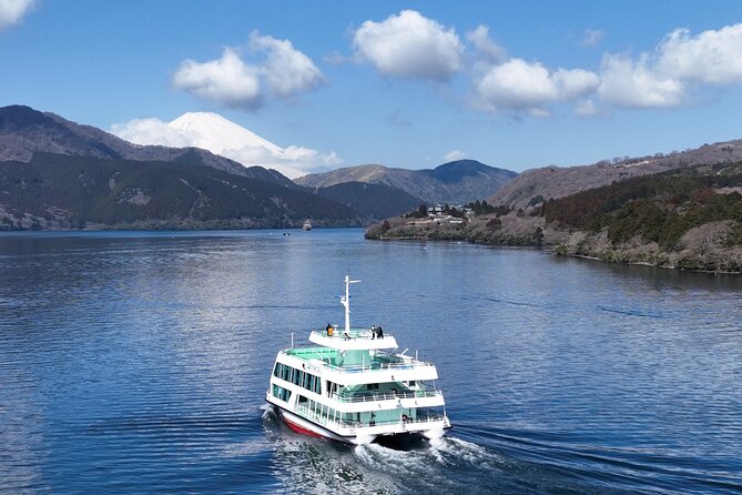 Mt. Fuji & Hakone Bullet Train 1 Day Tour From Tokyo Station Area - Additional Information