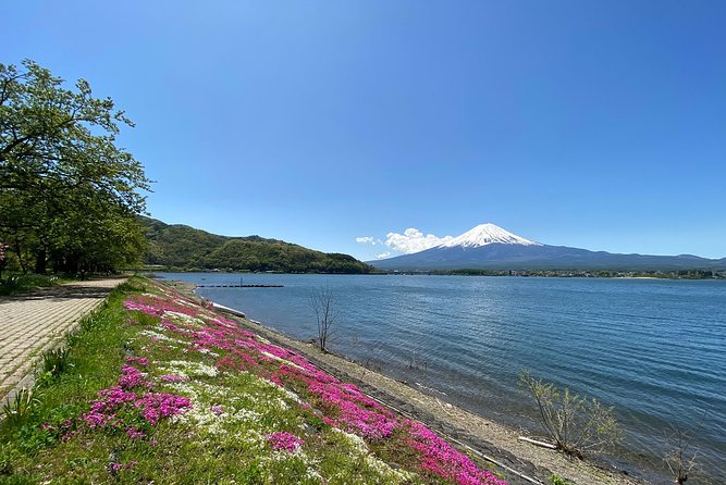 Mt Fuji Half-Day Tour By Car - Frequently Asked Questions