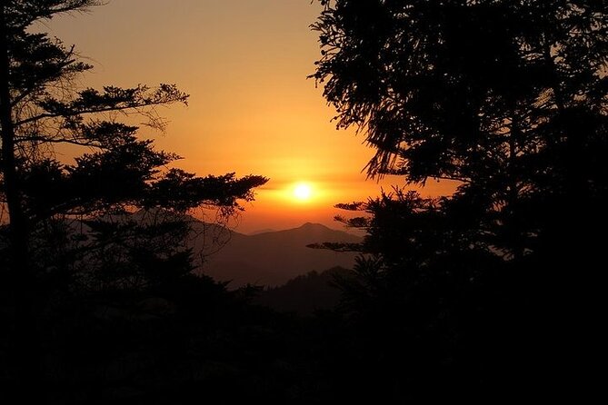 Mt Koya and Kumanokodo Walking 3 Day Tour From Osaka - The Sum Up