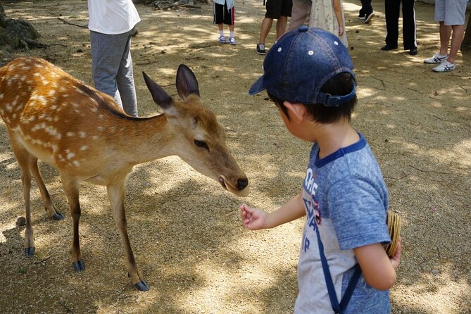Nara Half Day Walking Tour - Start Time
