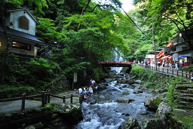 Nature Walk at Minoo Park, the Best Nature and Waterfall in Osaka - Cancellation Policy for the Guided Hike