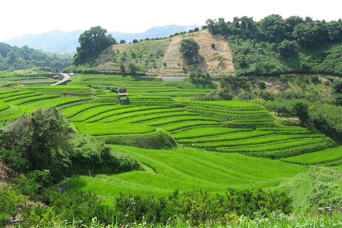 Okayama Half-Day Private Trip With Government-Licensed Guide - Cancellation Policy and Refunds