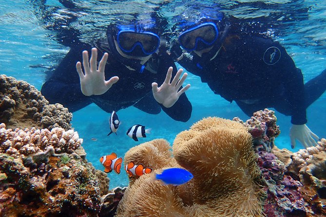 [Okinawa Miyako] [1 Day] SUPerb View Beach SUP / Canoe & Tropical Snorkeling !! - Important Information for Travelers