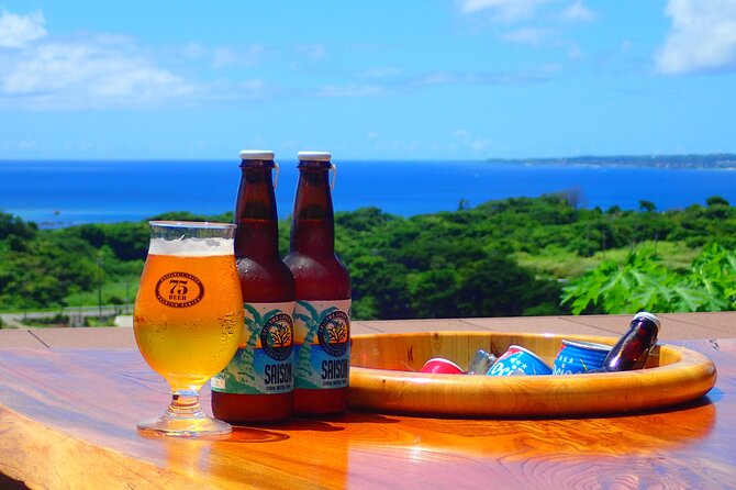 Okinawa Scuba Diving for Certified Divers (3 Boat Dives Lunch) - Lunch and Refreshments on the Boat