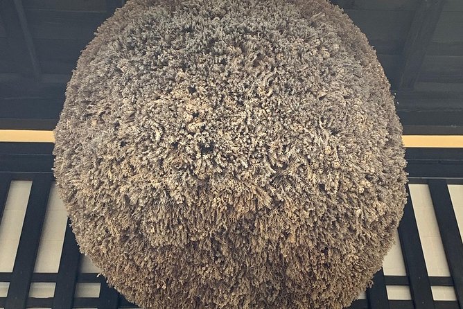 Old Township History&Culture Tour With Local Guide. (About 20min) - Pricing and Booking