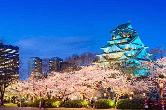 Osaka Self-Guided Audio Tour - Customer Support and Assistance