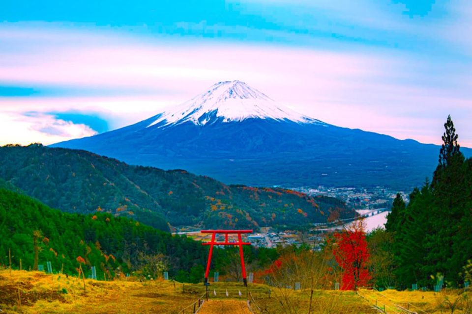 Private Guided Sightseeing Tour To Mount Fuji and Hakone - Highlights and Sightseeing