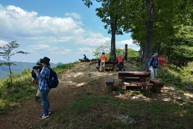 Private Hiking Activity Near Tokyo - Additional Guidelines and Restrictions